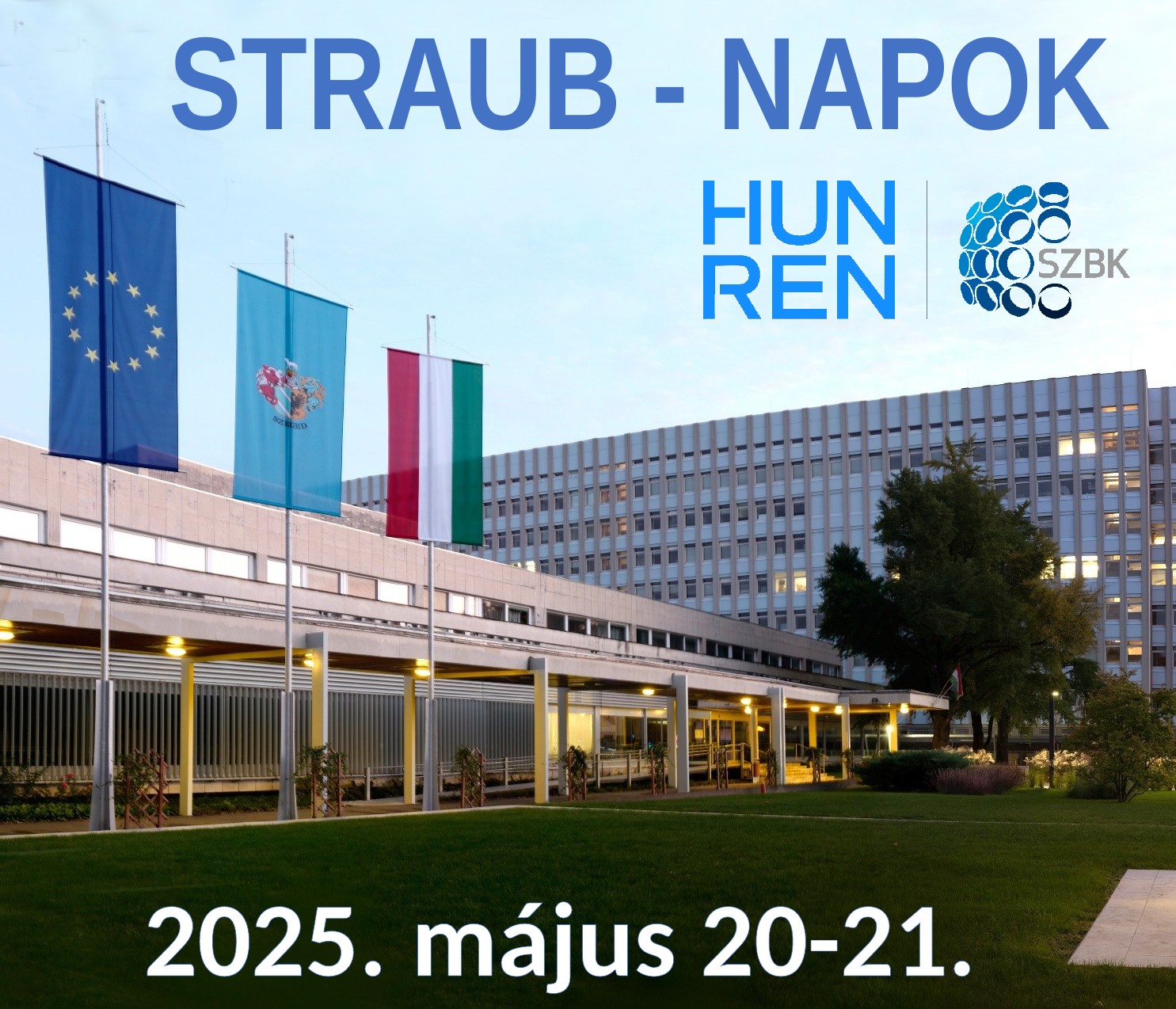 straub napok